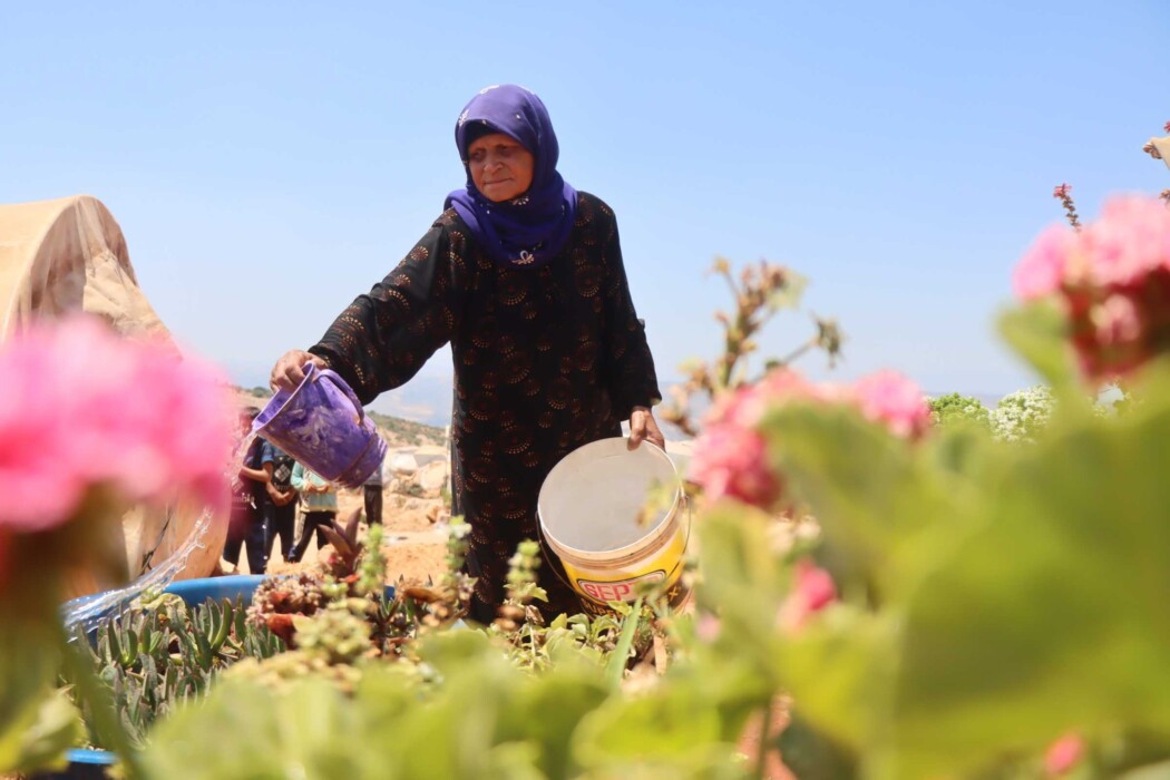These plants remind me of my home These plants remind me of my home