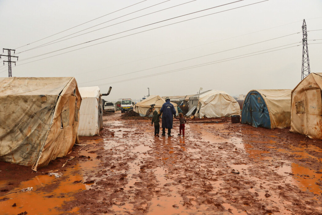 Their gardens are unlike any other garden design Their gardens are unlike any other garden design