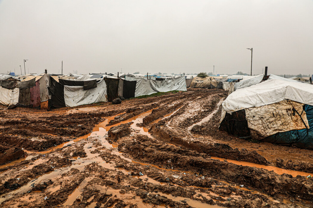 Their gardens are unlike any other garden design Their gardens are unlike any other garden design