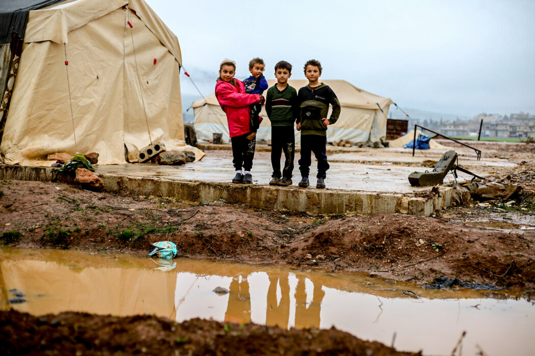 Their gardens are unlike any other garden design Their gardens are unlike any other garden design