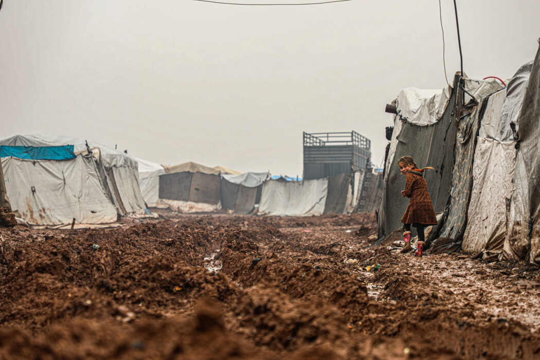 Their gardens are unlike any other garden design Their gardens are unlike any other garden design