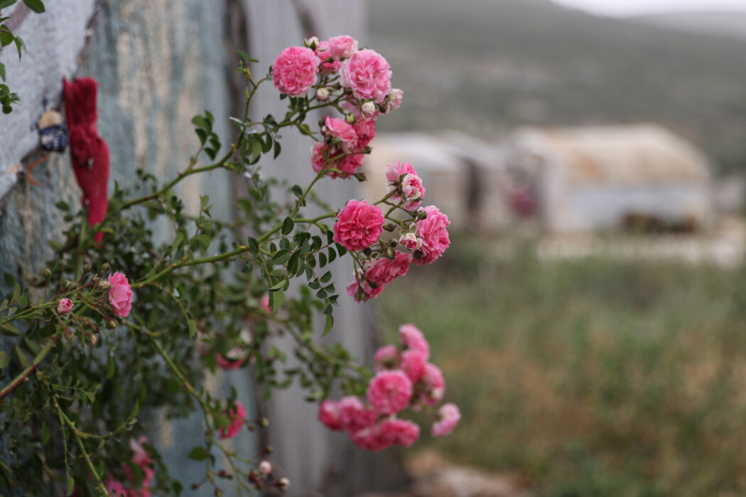 Don't forget us Don't forget us