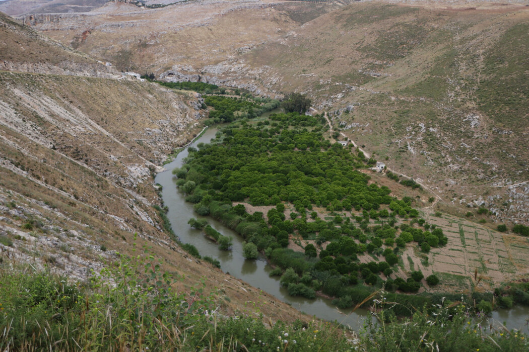 Don't forget us Don't forget us