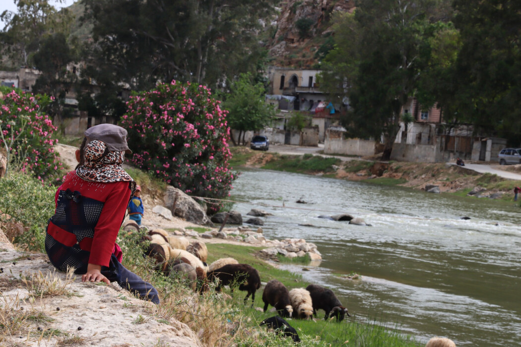 Don't forget us Don't forget us